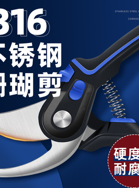 迈光珊瑚剪刀海水鱼缸工具不锈钢剪子SPS断枝珊瑚钳珊瑚造景工具