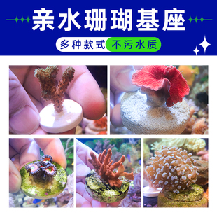 A牌海水珊瑚断枝基座LPS纽扣sps断枝繁殖座珊瑚底座托盘陶瓷基座