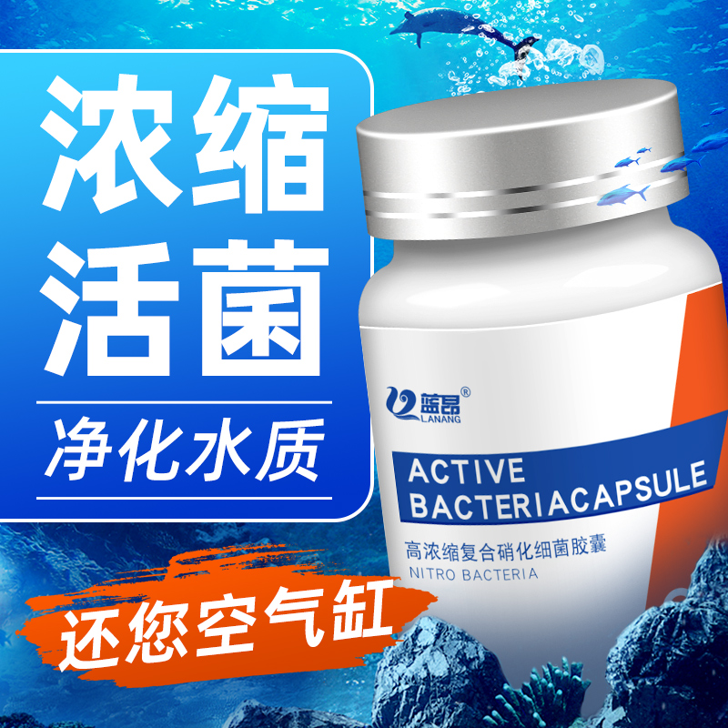 蓝昂胶囊硝化细菌鱼缸用浓缩硝化活菌水族干粉瓶装净水剂益生菌 宠物/宠物食品及用品 硝化细菌 原图主图