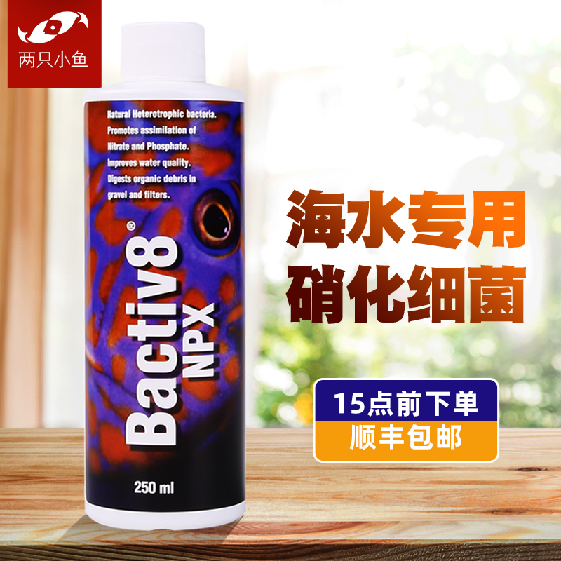 两只小鱼硝化细菌活菌净水