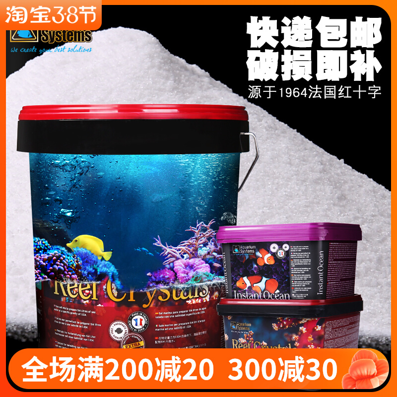 一部予約販売】 【New】〜❄︎おうち水族館❄︎〜❤︎蓄光Mix 激安直販店 【熱帯魚】〜❄︎おうち水族館❄︎〜❤︎蓄光Mixアクアリウム❤︎ フラワー/ガーデン