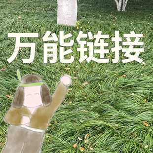 万能链/2r凑邮可选三折页2张或element4张，都不喜欢dd客服换别的