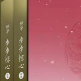 正版旧书 步步惊心桐华 上下册合售 湖南文艺出版 原版老书籍
