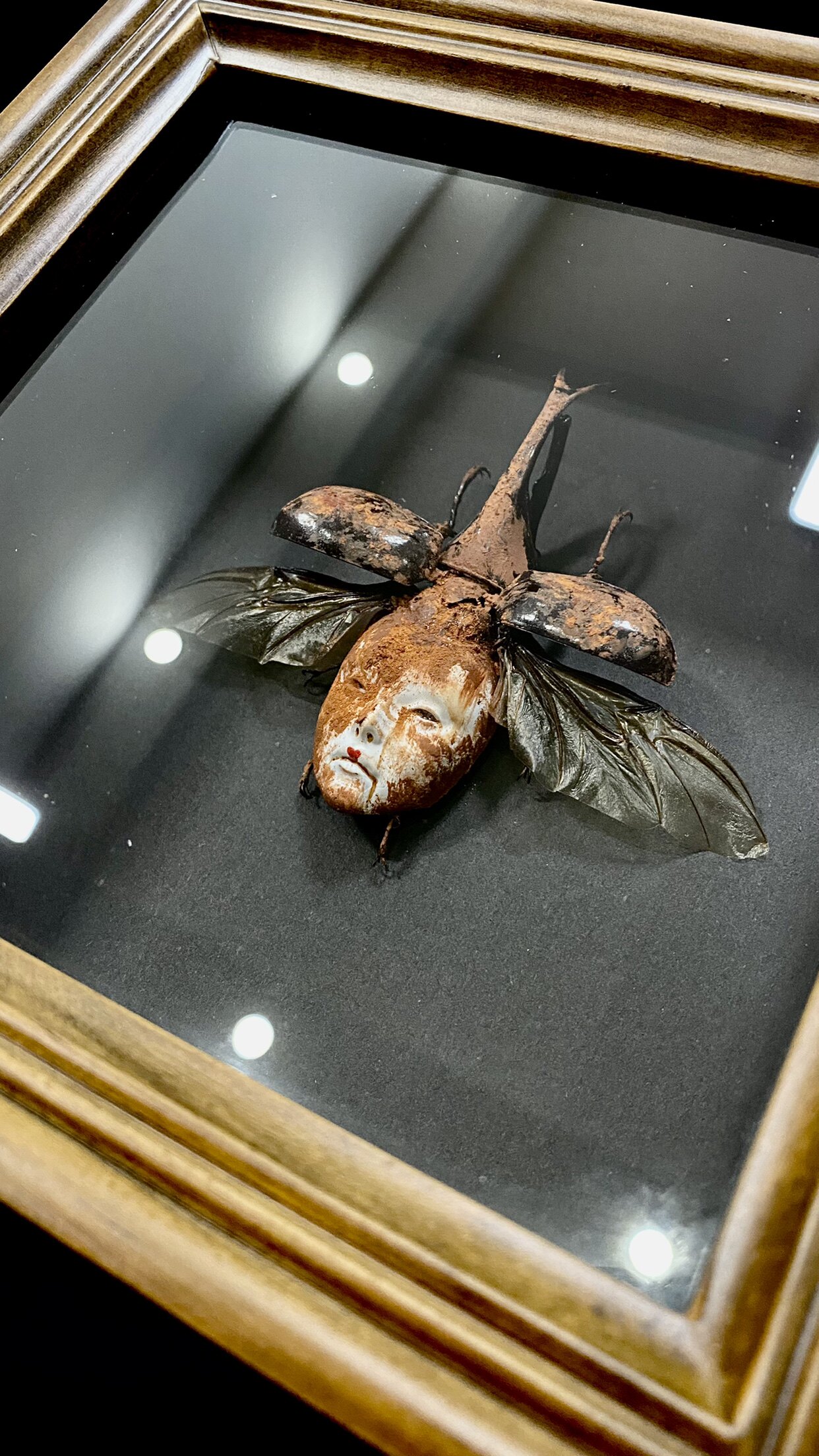 寄生猎奇怪诞美学昆虫标本收藏艺术品-人面昆虫b版