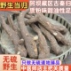 怡馨堂野生川当归甜当归古秦归独角归质粉味甜无硫个大500g中药材