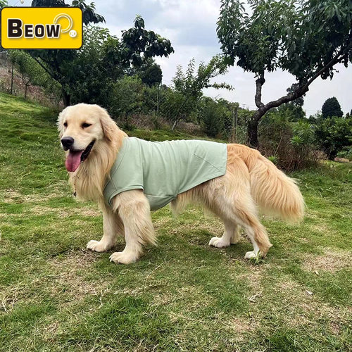 贝欧beow 夏季宠物狗狗衣服防晒透气polo衫狗狗T恤凉感抑菌吸湿衣