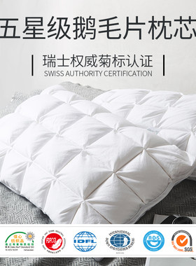 希尔顿酒店专用五星级酒店羽绒枕芯 出口喜来登白鹅绒羽毛枕头 成
