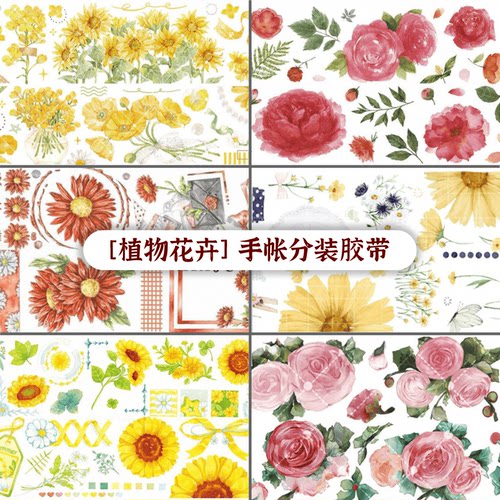 手帐分装胶带 雏菊/盛开/夏菊/葵菊/花祝语 植物花卉PET流麻咕卡