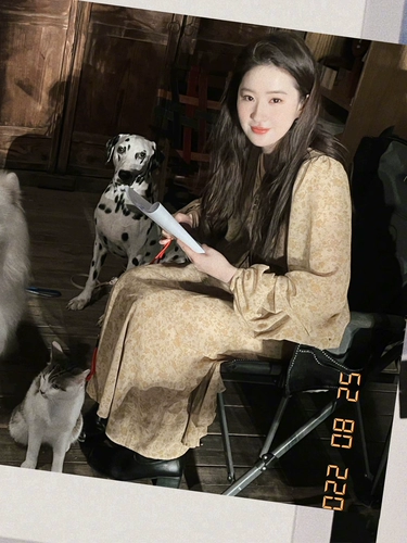 Пойдем к ветру, Лю yifei, Liu Yifei, такая же желтая первая любимая юбка с цветочной юбкой с цветочной чай