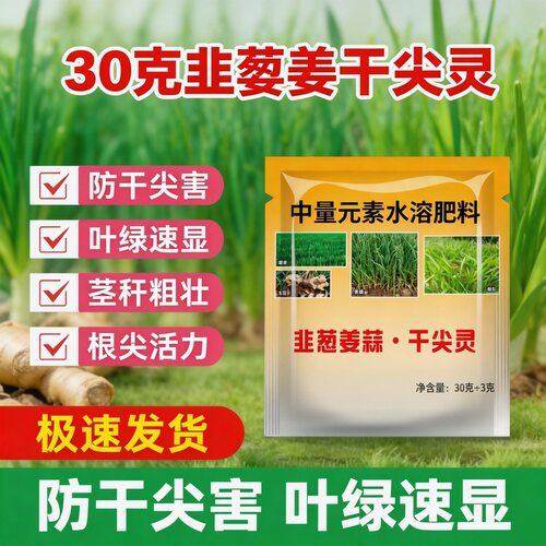 韭葱姜干尖灵 防干尖黄叶促生长 葱姜蒜韭菜种植厂家直供