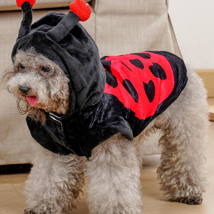 个性搞笑猫咪衣服宠物服饰 狗狗狗宠物服装/雨衣