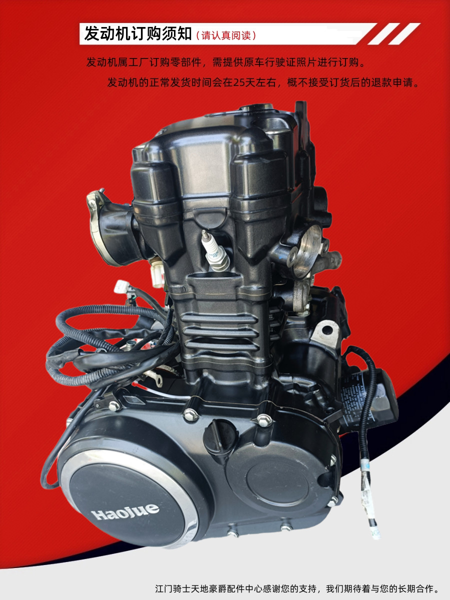 豪爵摩托车GW250 DR300 TR300 XCR300发动机总成机头原装全新预定