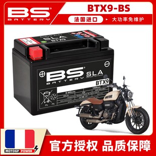 适用钱江闪150/闪250/闪300/闪350/闪500法国BS免维护蓄电池