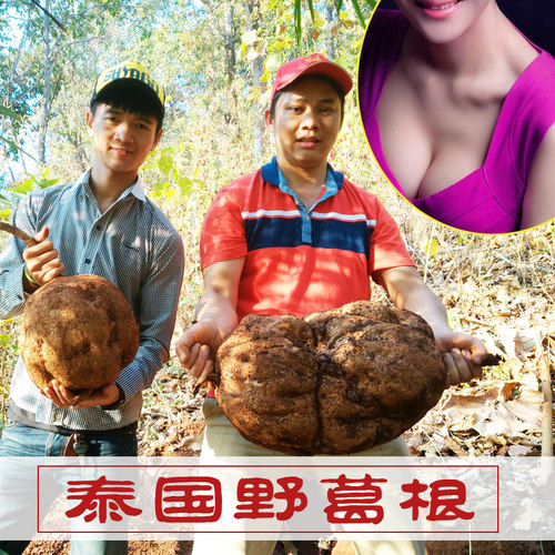 正宗泰国野葛根粉白高颗