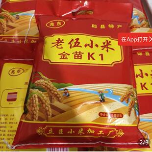 25年新谷子小米5斤包邮10斤邱县特产黄金苗老人孩子粥月子米粥