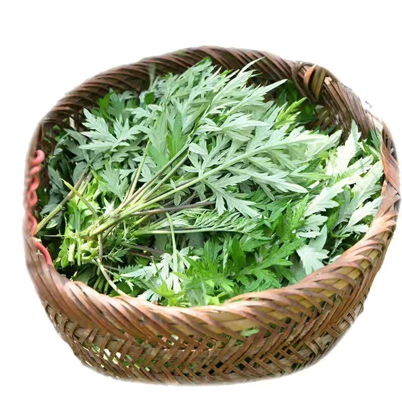 重庆荒地新鲜食用艾草现摘现发青团清明草粑嫩尖当季蔬菜包邮艾草