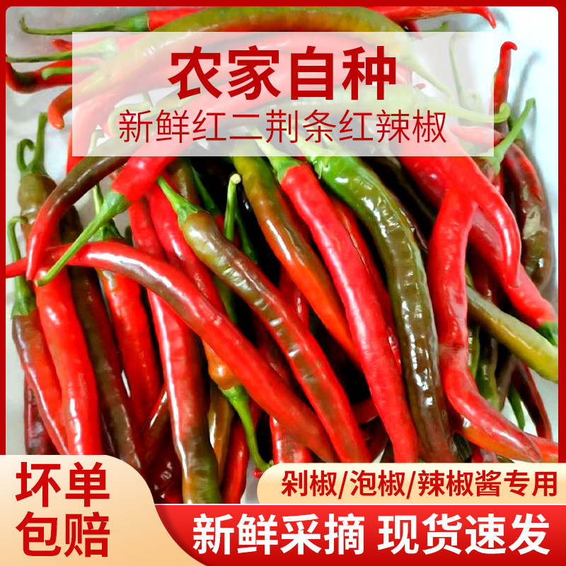 二荆条辣椒二荆条乌红辣椒新鲜