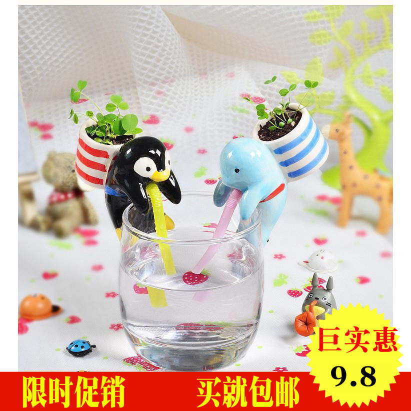 萌物渴渴吸里小盆栽植物迷你可爱创意diy草娃娃桌面植物儿童盆栽