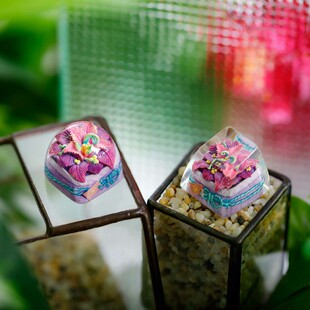 【ZD】客制化机械键盘 Dwarf Factory 杂草系列 手工树脂个性键帽