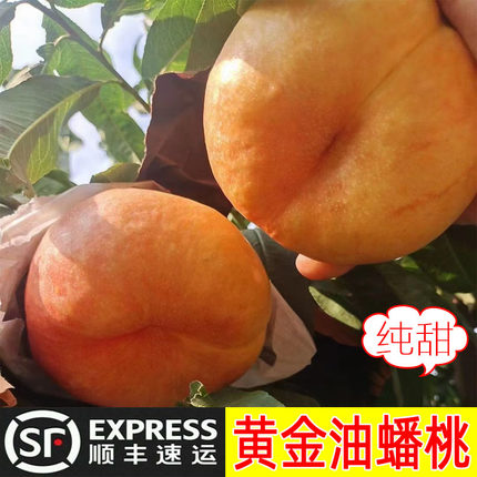 黄金蟠桃 奶油扁桃 陕西新鲜水果脆甜桃子整箱潘桃无毛现摘盘桃