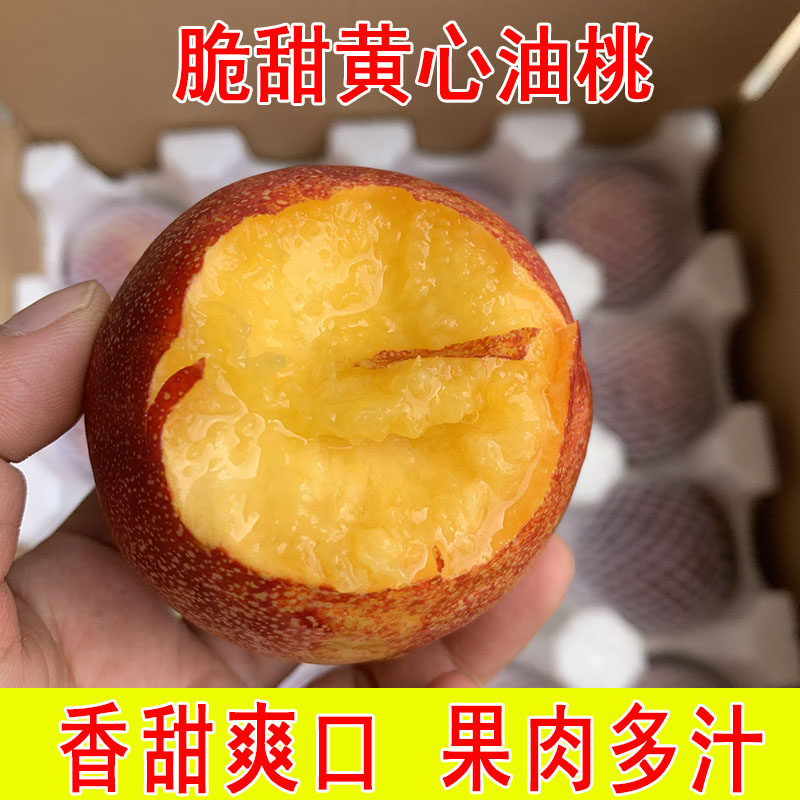 陕西渭南黄心油桃脆甜现摘