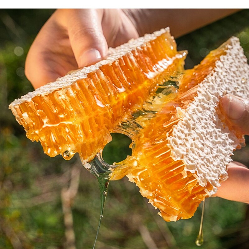蜂巢蜜嚼着吃盒装500g百花农家自产土蜂蜜纯正天然蜂窝蜜巢蜜块