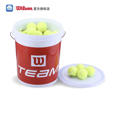 训练球Wilson练习球Wilson