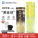 HEAD海德 Penn训练戴维斯杯比赛黄金网球XT TOUR专业耐磨DAVIS