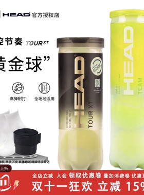 HEAD海德 TOUR专业耐磨DAVIS Penn训练戴维斯杯比赛黄金网球XT