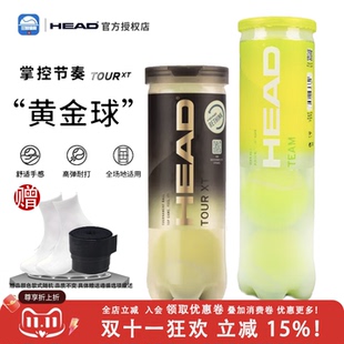 HEAD海德 Penn训练戴维斯杯比赛黄金网球XT TOUR专业耐磨DAVIS