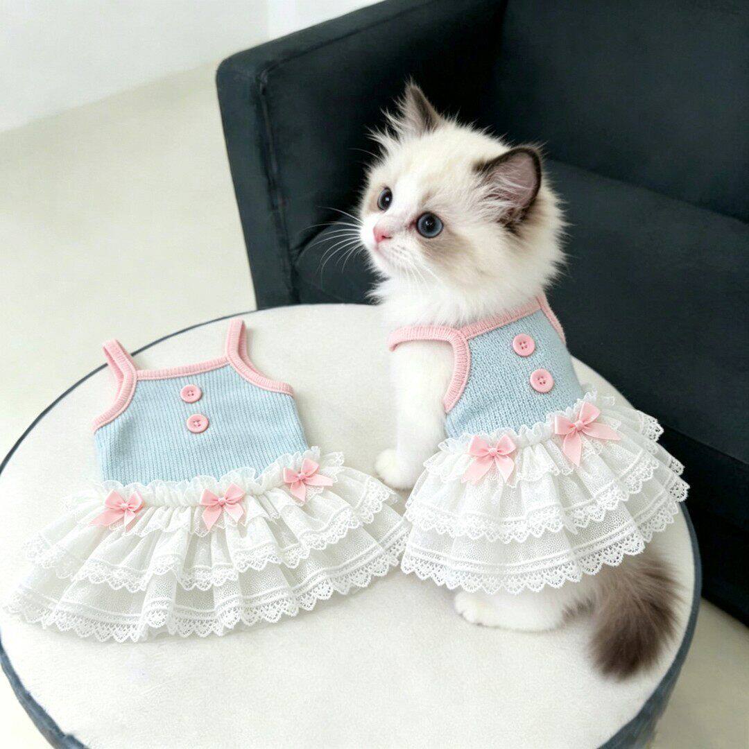 狗狗衣服夏季洋气公主风条纹蓬蓬裙小型犬比熊泰迪透气网纱连衣裙