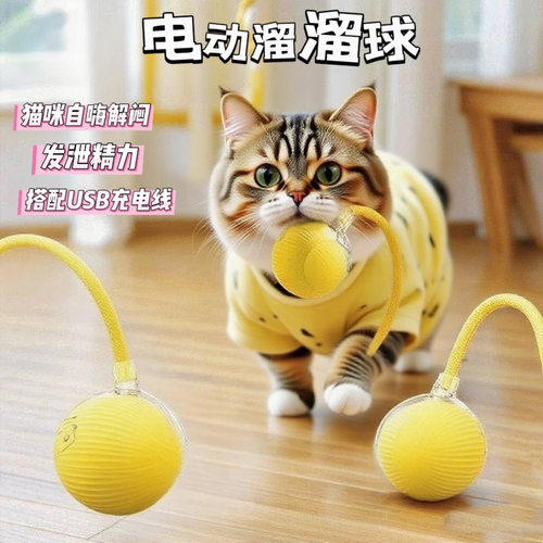 抖音爆款自动遛狗球狗玩具球耐咬自嗨宠物逗猫神器狗球猫咪突突球