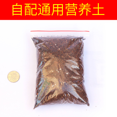 有机绿萝蔬菜种植多肉土包邮