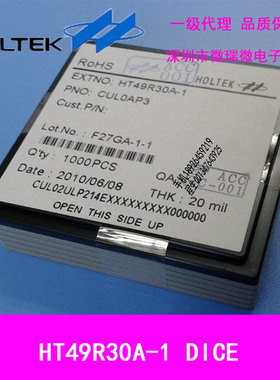 代理销售合泰盛群LCD型八位单片机HT49R30A-1 DICE全新原装