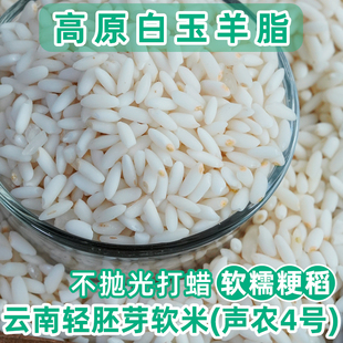 耘鲜坊云南高原轻胚芽软米声农4号白玉羊脂大米粳米25年新米籽米