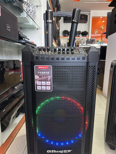 奇声户外唱歌蓝牙音响大功率双麦克唱歌乐器音响 奇声650 奇声651