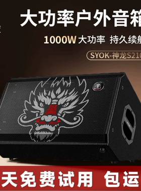 SYOK神龙S210PRO音响800W额定功率户外演出直播路演乐器吉他弹唱