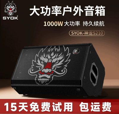 SYOK神龙S210PRO音响额定功率户外演出直播路演乐器吉他弹唱