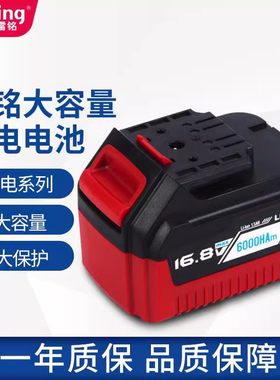 雷铭12V16V16.8V25V锂电池充电器