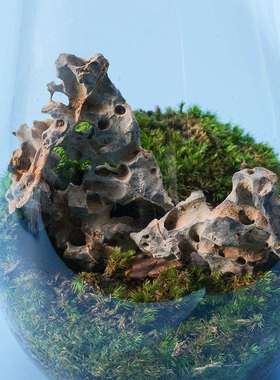 太湖石天然石鱼缸微盆景造景石景观北丹石原矮霸小盆微景OAF小石