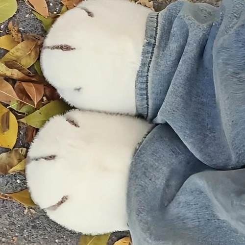 拖包头猫拖鞋毛毛TCF鞋冬外季可爱猫咪毛绒拖鞋室爪内家居穿包跟