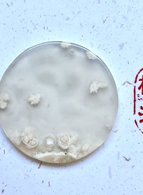 槿汐老矿樱花玛瑙圆牌吊坠