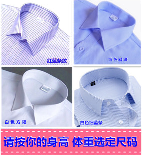男假领子节约领 假衬衫白色 蓝色农行简约百搭加长免烫职业正装