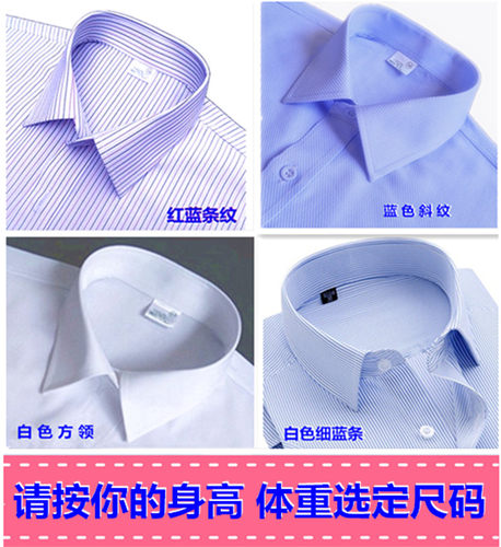 蓝色百搭加长正装假领子