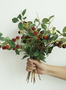 创意简约仿真植物树莓花瓶摆件造景8支一把/长36cm