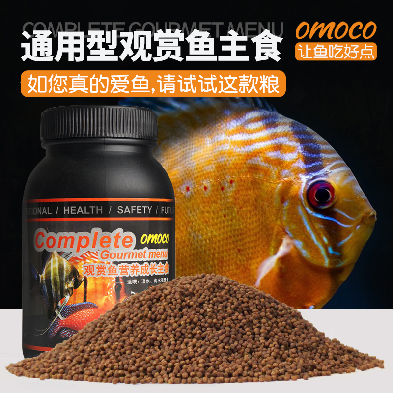 淡海水观赏鱼七彩埃及神仙鱼饲料