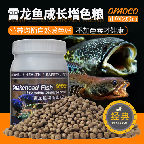 性价比很高的雷龙鱼专用营养饲料