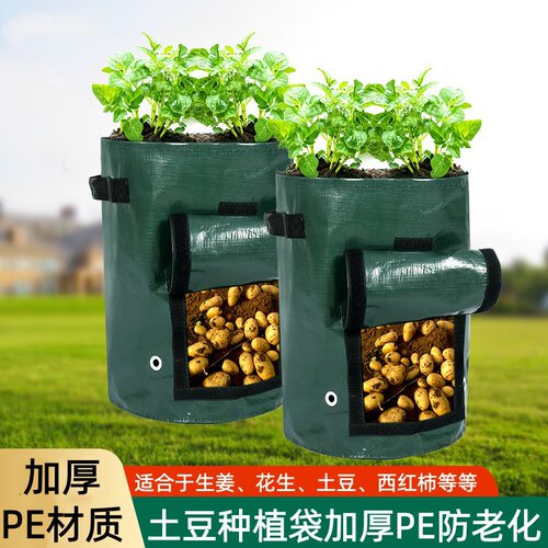 土豆袋土豆种植袋家用阳台