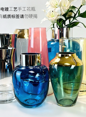 623禾樱北欧外贸出口电镀彩色玻璃花瓶创意新款家居客厅摆件插花