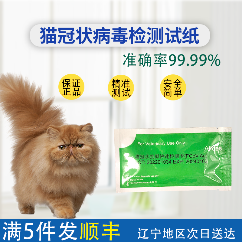 包邮进口fcov猫冠状发烧呕吐腹泻试纸腹膜试纸传染性腹膜检测一次